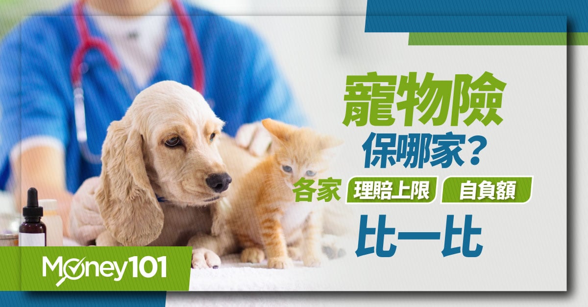 2023 寵物保險買哪家？最新 4 間產險公司寵物險網路投保方案比較