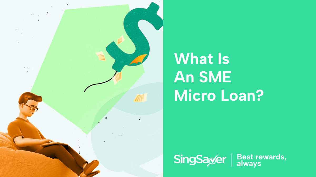 What is an SME Micro Loan?