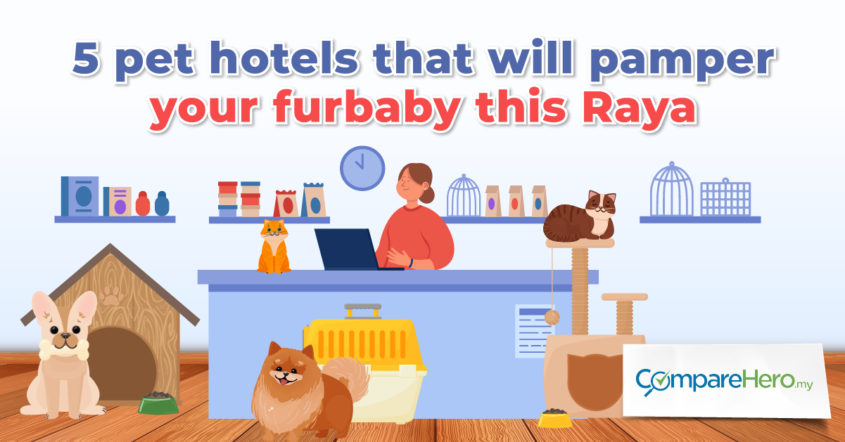 5 Pet Hotels That Will Pamper Your Furbaby This Raya 2022