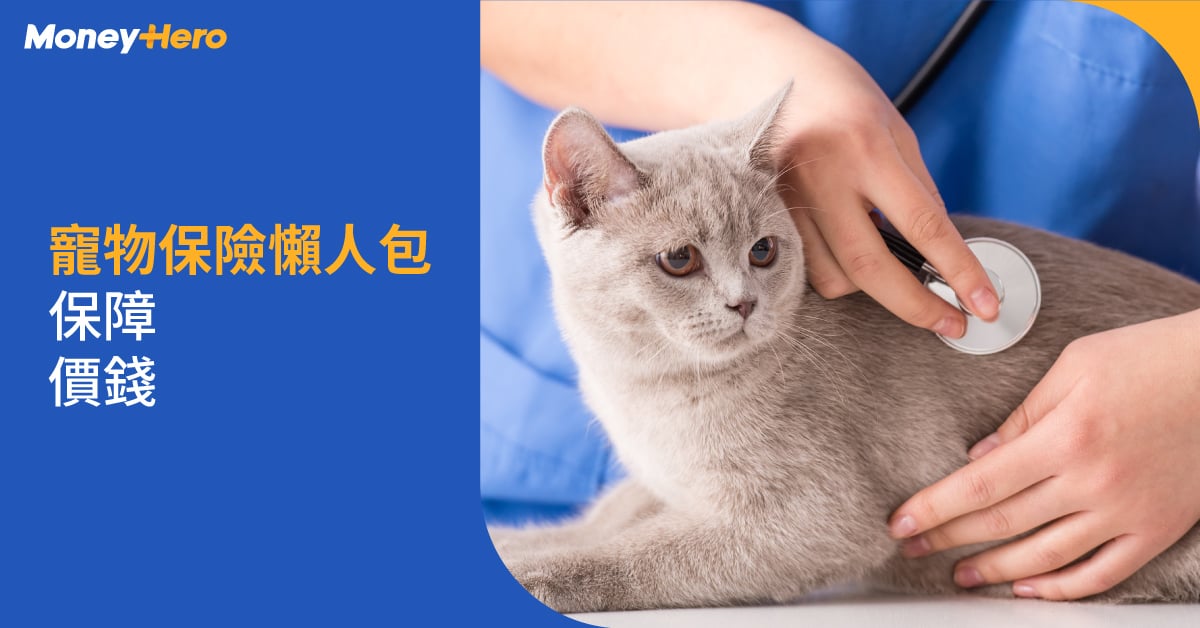 寵物保險邊間好？狗/貓保險比較2022+藍十字/OneDegree好唔好+狗貓晶片資料