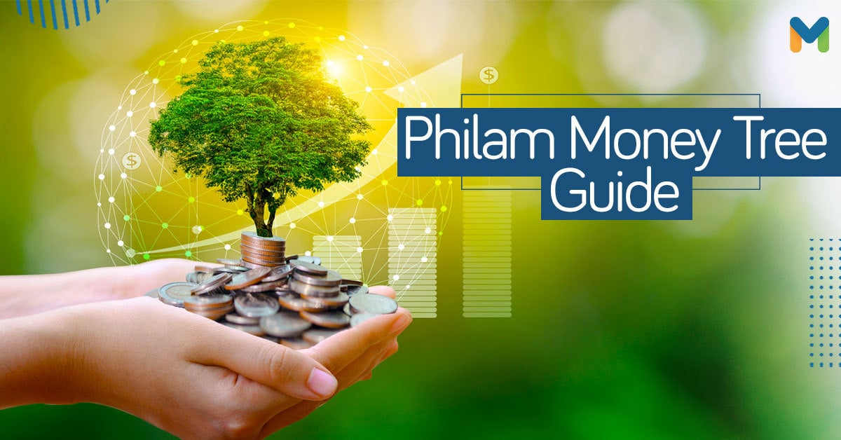 How Does Philam Life Money Tree Work? Here’s What You Need to Know