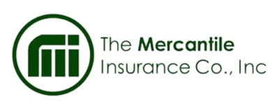 car insurance companies in the philippines - mercantile insurance