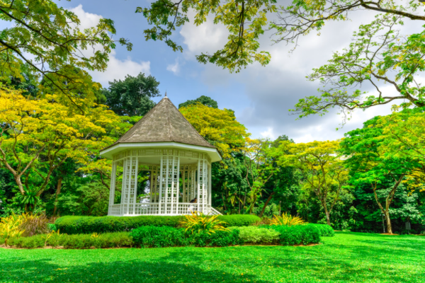 singapore tourist spots - Botanic Gardens