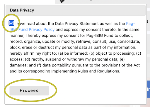 how to withdraw Pag-IBIG contribution - tick on the Data Privacy box