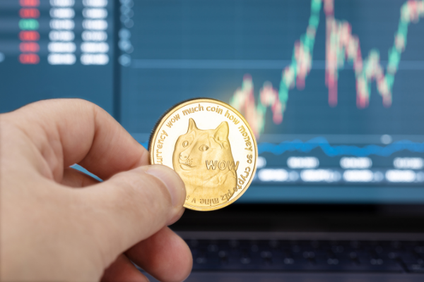 shiba inu coin - What is Shiba Inu Coin’s Difference from Dogecoin?