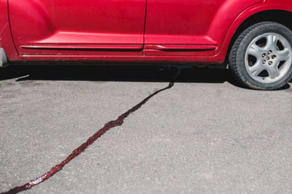 car problems - fuel leaks