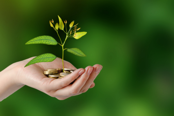 green investments - What is Green Finance?