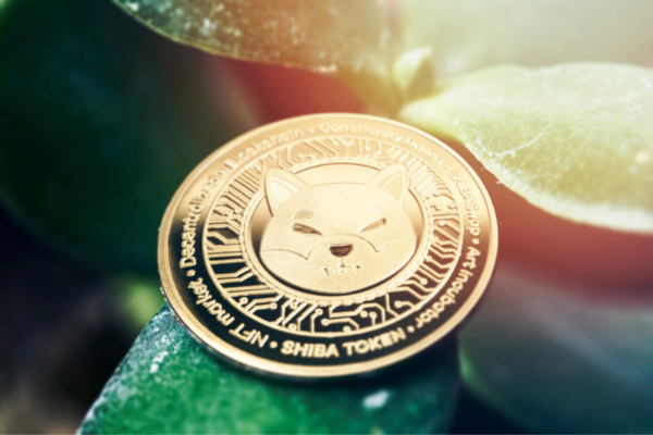 shiba inu coin - What’s Shiba Inu Coin’s Future?