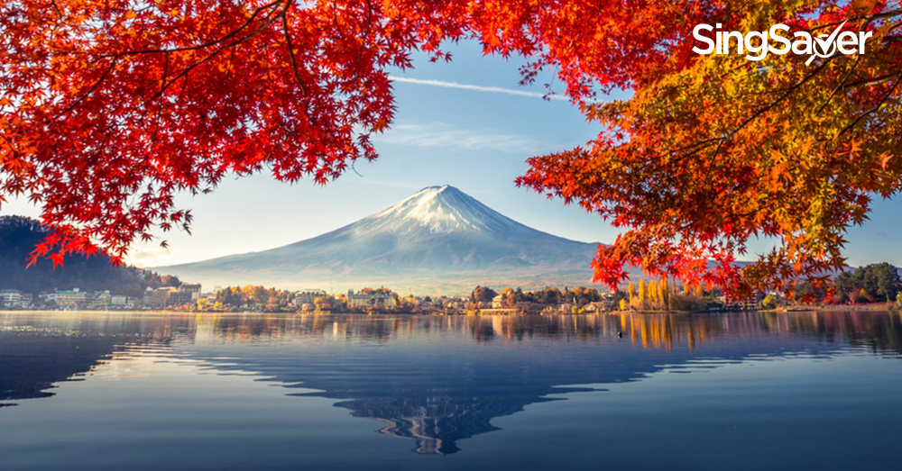 Autumn Travel Deals to Japan, South Korea, and Taiwan 2019 | SingSaver