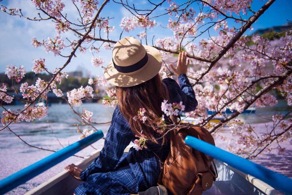 Tokyo Sakura Season 2019 | SingSaver